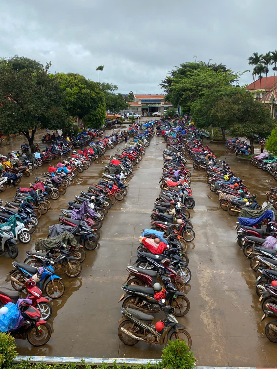 Không khí buổi họp phụ huynh đầu năm học 2025-2026